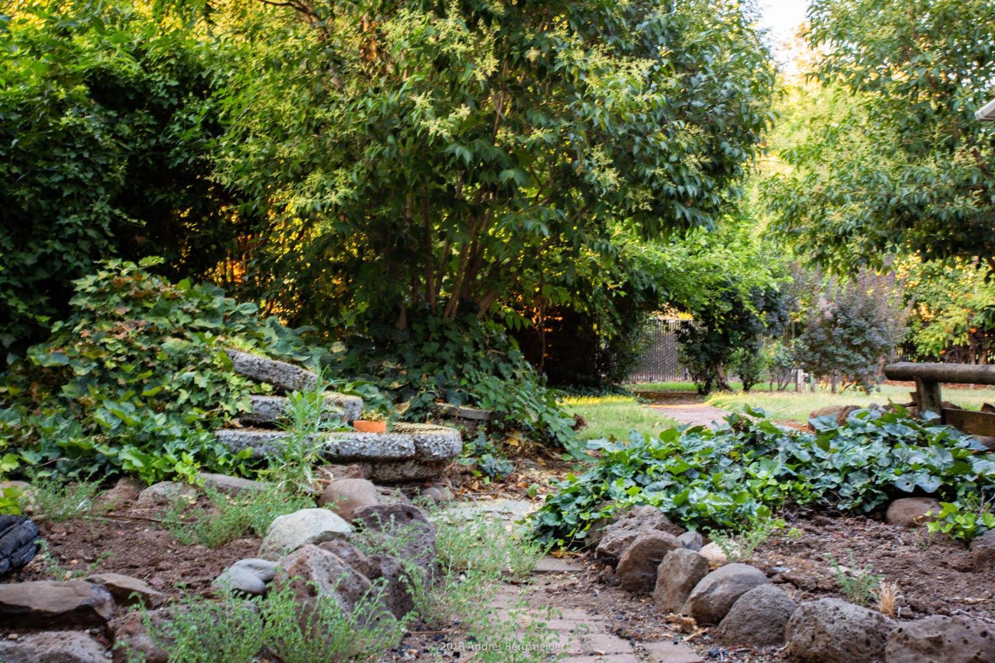 Downtown Dream Casa Near Chico State, Private Yard Villa Exterior photo